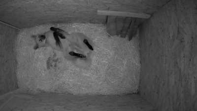 When it's 6:00 AM and you can't sleep: