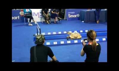 The tortoise and hare debate settled once and for all