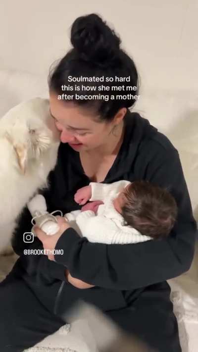 Her dog checking on her after she gave birth.