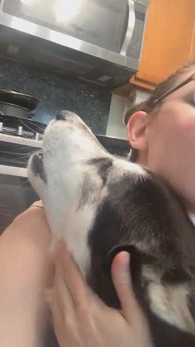 He put in all the complaints today