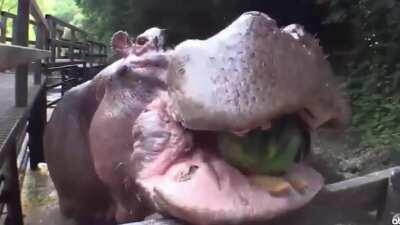 Rate my Pewdiepie vs Cocomelon trailer. I made it using my phone.