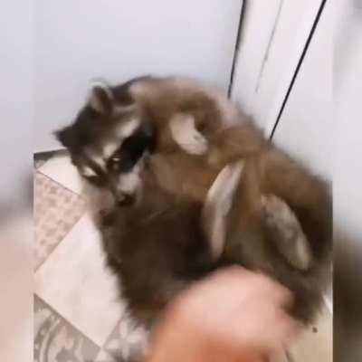 Дай пожмякаю