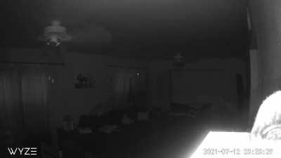 Just popping up to say hello… Any ideas as to what this could be?