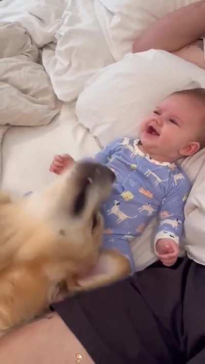 Babies playing with dogs