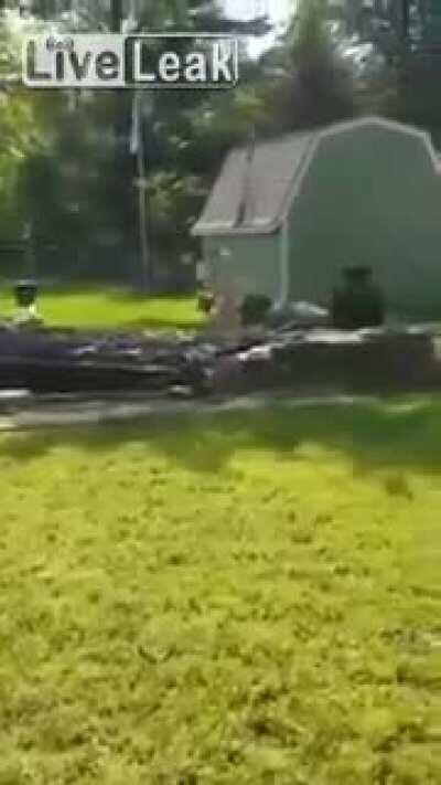 New reality TV show: the PCP landscaper