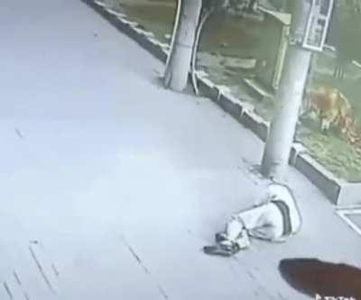 this might be the strangest thing ive seen in my life