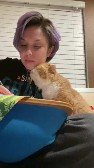 I am once again asking for your pat