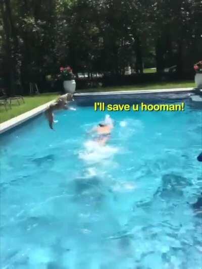 Hooman in danger