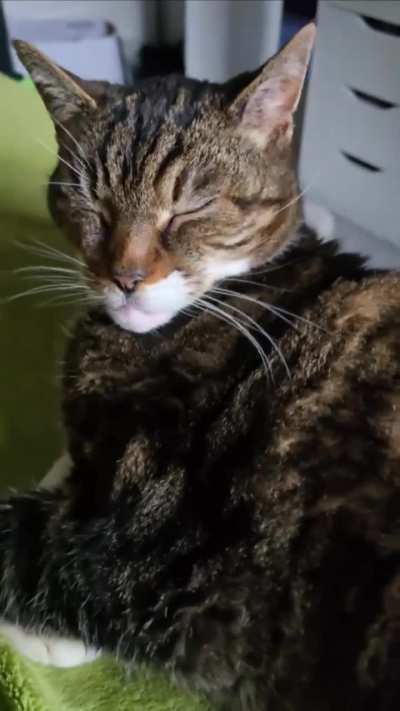 Getting Ollie back for the 4am wake up call 