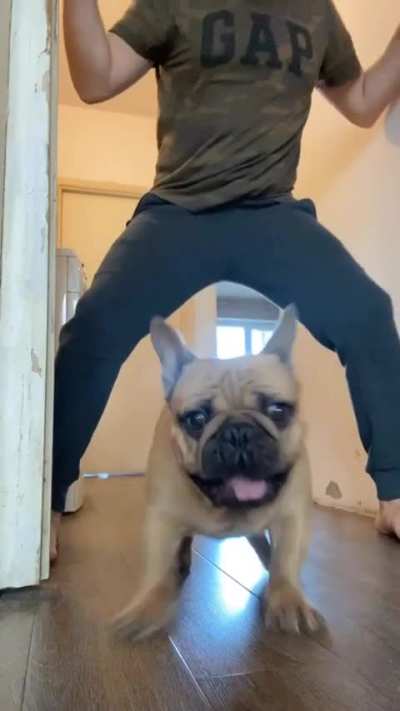 blursed_Moment before disaster