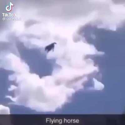 ¿Juan? PD: Ignoren el logo de Tik Tok