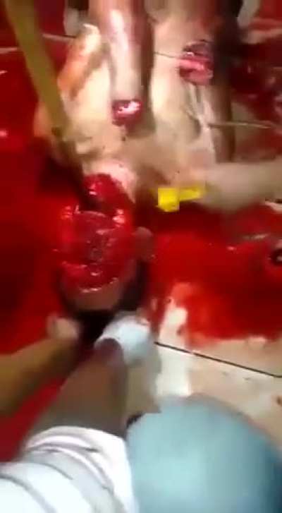 Funkytown Cartel archive