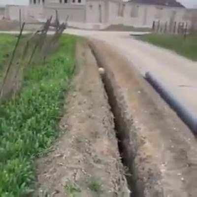 Oooppps...Um, Excuse me..Sir??