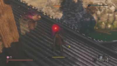 Now this is one of my greatest sekiro achievements.