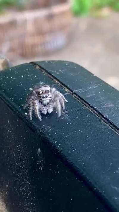 Curious little bro!