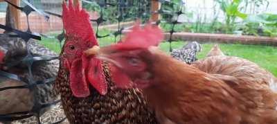 I wouldn't put up with that if i were you, Gerald...