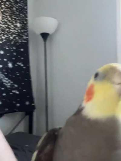 Was told to post this video here