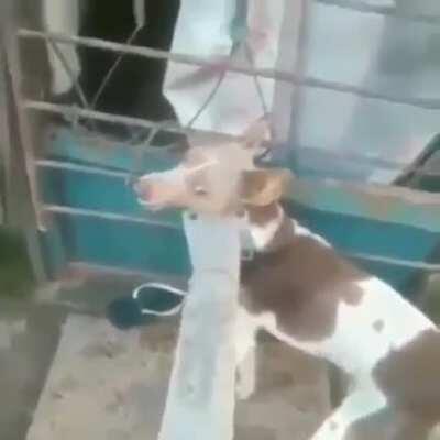 Encara filha da mãe!