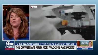 Naomi Wolf was going up to bat for us