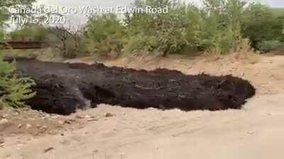Flash flood after the Bighorn Fire in the Catalina Mountains, Tucson, AZ