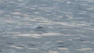 Tank still moving while brewing up in a field. Tank beside him tries to escape, takes hard ATGM hit, still goes until it runs over a mine. No date or place provided, seems to be RF tanks as UA source.