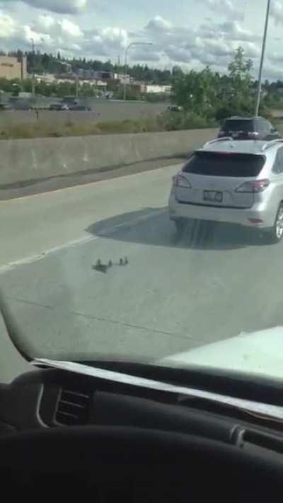 Is it just me or r/ExtremeCarCrashes turning into r/watchpeopledie or r/makemycoffin?