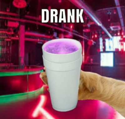 Le doge's night out has oppeared