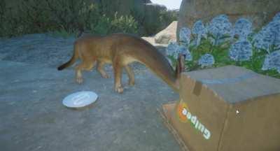 [Planet Zoo] cougar.exe stopped working