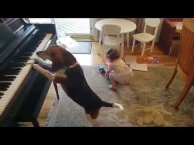 The toddler and dog are literally having the best time ever 😂