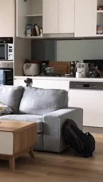 Sailing into the dimension