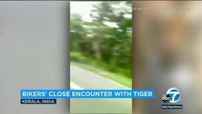 Bikers flee as tiger chases them in wildlife sanctuary, Kerala, India