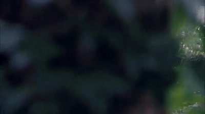 Natalie dormer Forest fuck