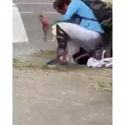 Least shitty location in a blue state