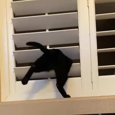 Not sure what to say about this