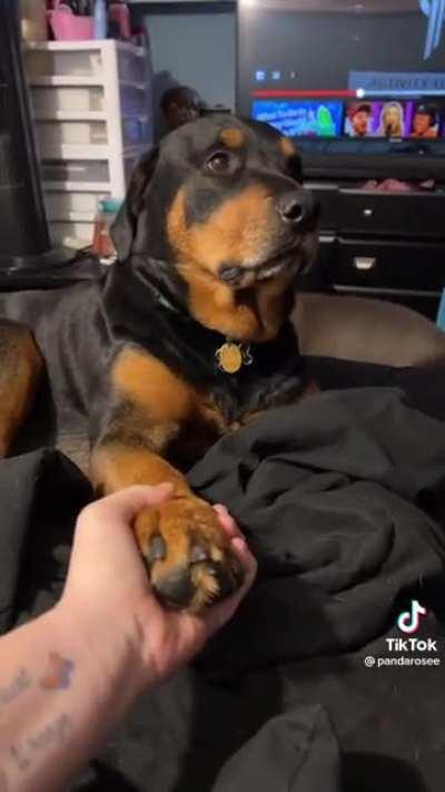 not the eye roll😂