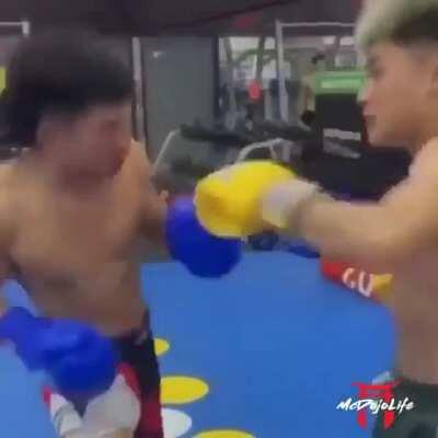 Franky v Señor Pink