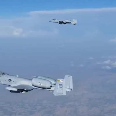 Just a couple of Hogs