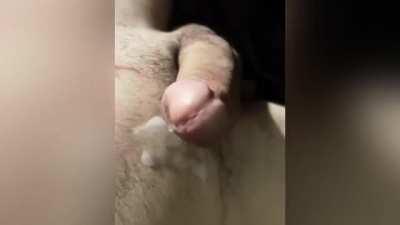 remember to always practice proper milking techniques