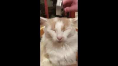 i found this old meme on my pc completely forgot about it lol. i think that i made it but im not sure, atleast i believe it was me. if not it was a friend of mine lmao.