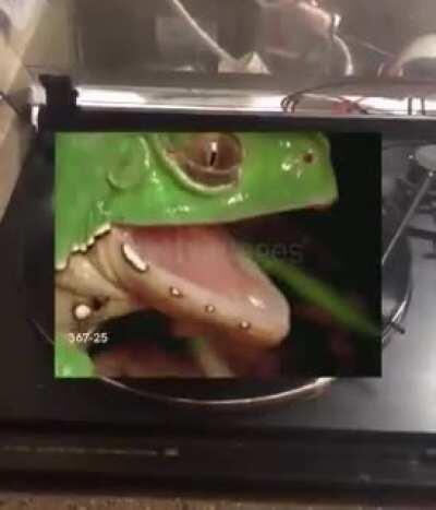 Day 48 of posting random stuff I have on my phone