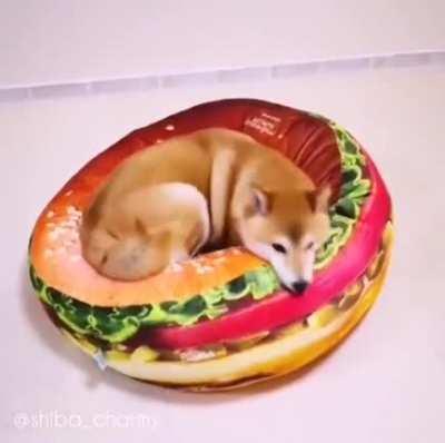 Shibasburger blop