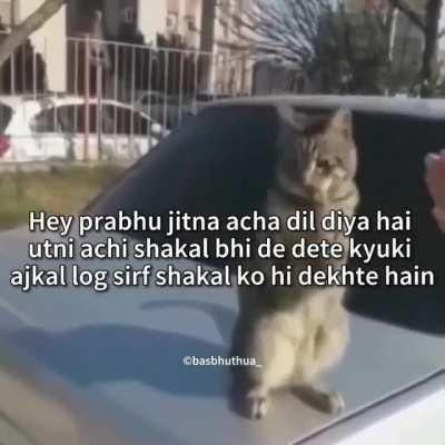 title kya dekh rha hai