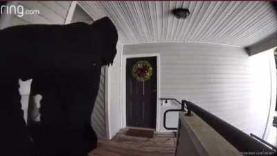 Ring camera catches an attempted robbery gone wrong