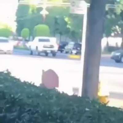 Domestic dispute nsfw