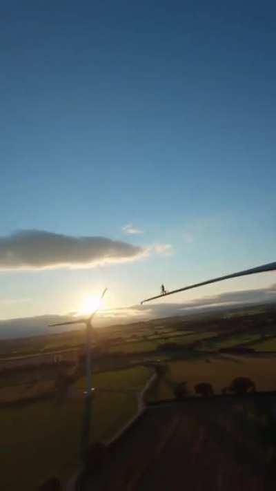 I'm dizzy just watching this.