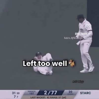 My New Year Resolution