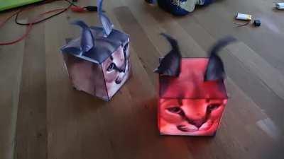 Upgraded floppa-cubes with purr engines!