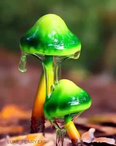 Beautiful photorealistic 3d animation