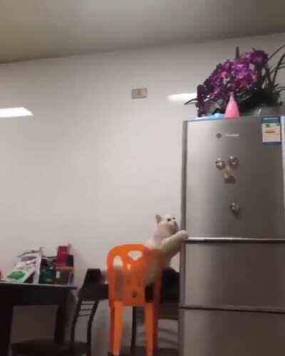 Your calculation is wrong caty