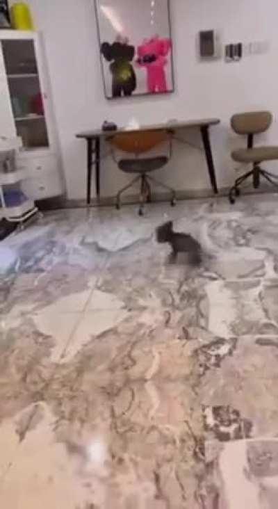 The baby is excited about the upcoming walk. )